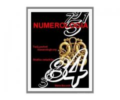 E- book Numerologia