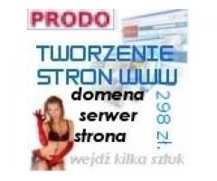 Wykonanie strony internetowej www Poznań tanio cena 298 zł. (brutto) !