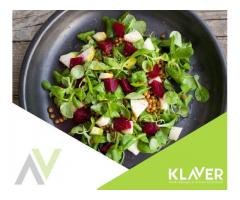 Klaver- praca w Holandii- produkcja sałatek