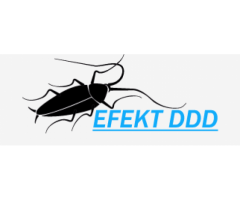 Efekt DDD - firma dezynfekująca