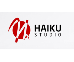 Reklama internetowa - wyłącznie z Haiku Studio!